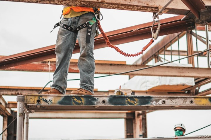 کاغذ دیواری سلطنتی: شکوهی گران‌بها بر دیوار شما