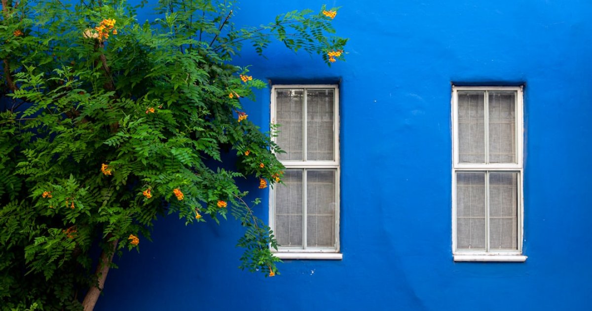 بهترین رنگ نمای ساختمان با کیفیت بالا — تصویر 2